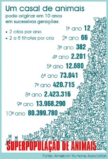 imagem demonstrando qual é o total de cães dentro de dez anos, a partir de um casal de cães. Em 10 anos dará um total de 80.399.780 cães. Por favor, vamos cuidar cada qual do seu cão.