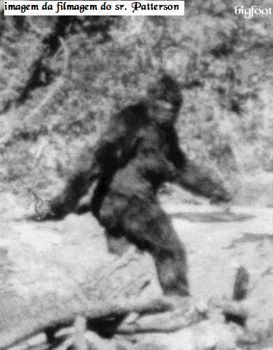 imagem da filmagem feita pelo sr. Patterson imagem da filmagem feita pelo sr. Patterson