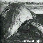 Carcaça, em 1956, numa praia do Egito Carcaça, em 1956, numa praia do Egito