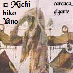 foto por Michihiko Yano foto da carcaça por Michihiko Yano