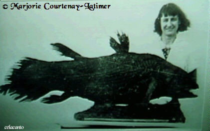 Marjorie Courtenay-Latimer e o seu celacanto. Excelente enciclopédia. Visite: http://en2.wikipedia.org/wiki/Coelacanth