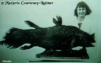 Marjorie Courtenay-Latimer e o seu celacanto. Excelente enciclopédia. Visite: http://en2.wikipedia.org/wiki/Coelacanth Marjorie Courtenay-Latimer e o seu celacanto. Excelente enciclopédia. Visite: http://en2.wikipedia.org/wiki/Coelacanth