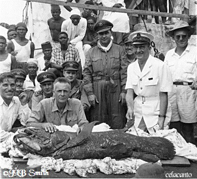 JLB Smith com o 2º celacanto. à direita o Capitão Eric Hunt JLB Smith com o 2º celacanto. à direita o Capitão Eric Hunt