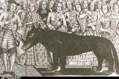 Imagem do lobo empalhado que Jean Chastel matou. Imagem do lobo empalhado que Jean Chastel matou.