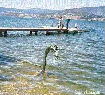 foto tirada Wednesday, July 10, 2002. Está no site http://www.cosa.bc.ca/worlds_photos.htm foto tirada Wednesday, July 10, 2002. Está no site http://www.cosa.bc.ca/worlds_photos.htm