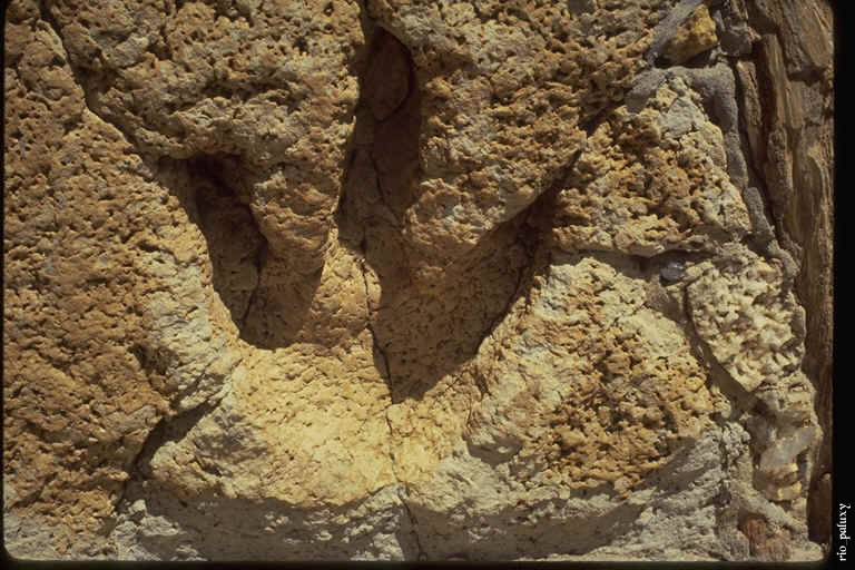 by Institute for Biblical & Scientific Studies. Visite o site http://hometown.aol.com/ibss1/ by Institute for Biblical & Scientific Studies. Visite o site http://hometown.aol.com/ibss1/