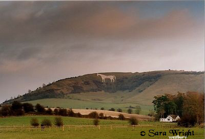 Sara Wright: General Landscapes: White Horse at Westbury, Wiltshire, England 1999. The oldest of the seven white horses in Wiltshire, dates from about 1778 Sara Wright : General Landscapes : White Horse at Westbury, Wiltshire, England 1999. The oldest of the seven white horses in Wiltshire, dates from about 1778