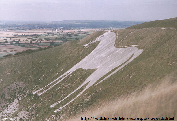 Visite http://wiltshirewhitehorses.org.uk/wesside.html. The Westbury white horse seen from the side, from south west of the horse on Westbury Hill Visite http://wiltshirewhitehorses.org.uk/wesside.html. The Westbury white horse seen from the side, from south west of the horse on Westbury Hill