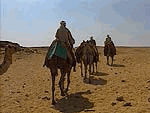 Pessoas sobre camelo no deserto no Egito.