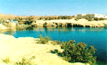 El Fayoun. oasis.