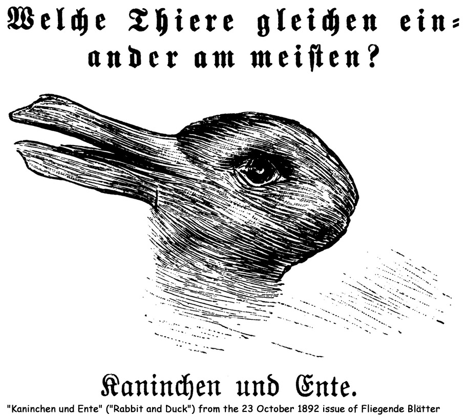 imagem de ilusão é um pato ou é um coelho? From Harper's Weekly, originally in Fliegende Blätter