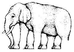 imagem de ilusão quantas patas tem esse elefante?