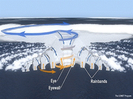 Anatomia de um furacão. Para saber mais sobre furacões, visite http://ww2010.atmos.uiuc.edu/(Gh)/wwhlpr/hurricane_preswind.rxml?hret=/guides/mtr/hurr/stages/cane/eye.rxml&prv=1