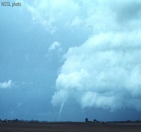 NSSL Photo. Quail, Texas, 16 May 1977